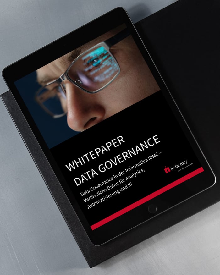 Whitepaper Mockup Governance IDMC